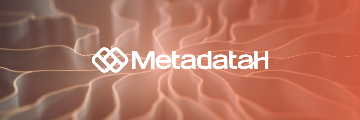 MetadataH: making AI adoption a reality for businesses